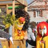 25_10_kaugst_img_1933