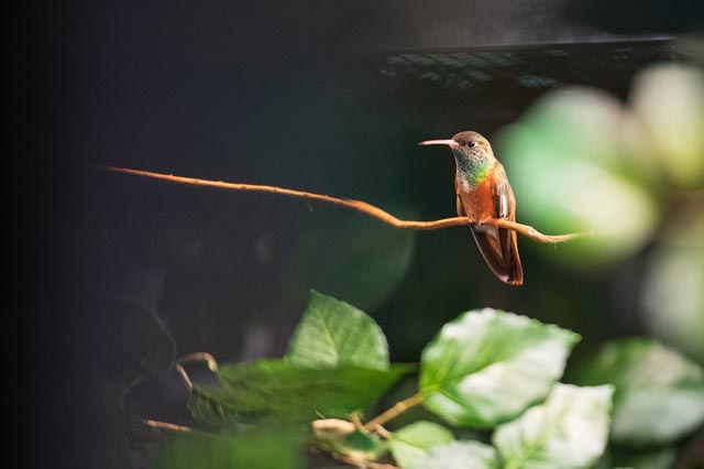 Foto: Zoo Basel