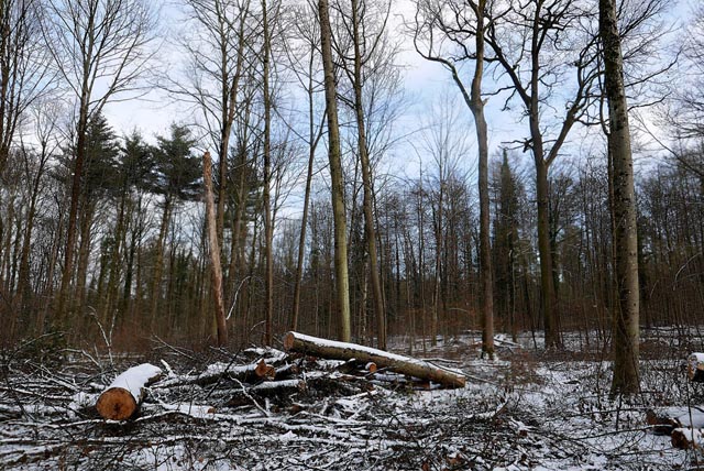 Foto: Jürg Keller 
