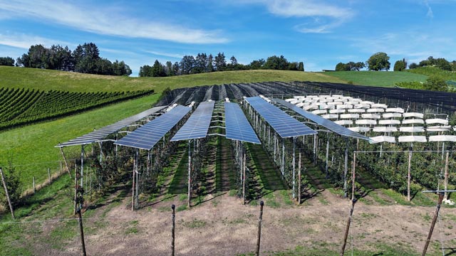 Die AgriSolar Obstbauanlage. Foto: Copyright Eva Föller, FiBL