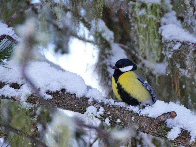 Foto: Heidy Wetter