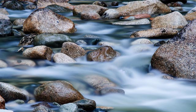  Unter der Demenzerkrankung leiden nicht nur die Betroffenen, sondern auch deren Angehörige. Foto: istock