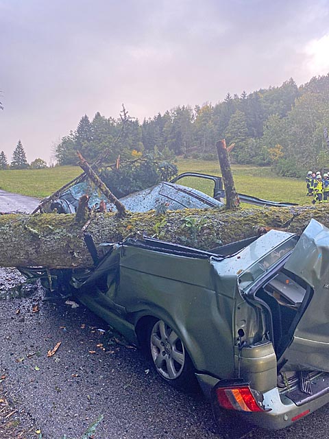 Foto: Polizei DE