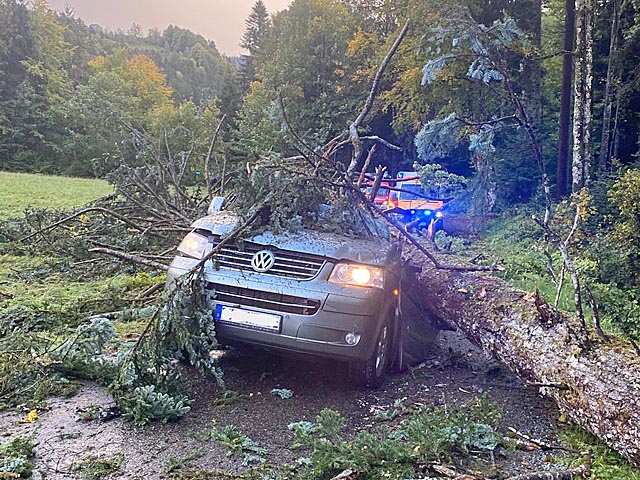 Foto: Polizei DE