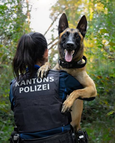 Fahnungserfolg dank Diensthund «Malouk». Foto: Polizei Aargau