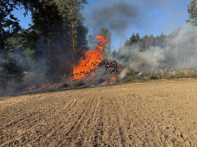 Eindrücke vom Brand