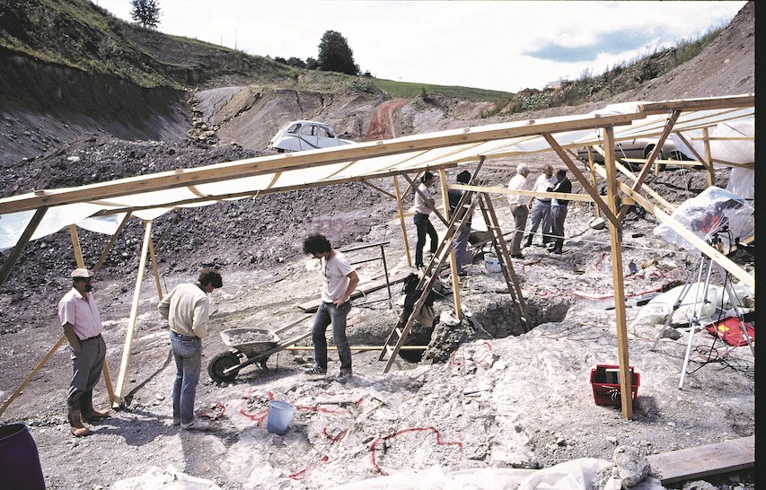 Sauriergrabung Gebrüder Imhof 1985. Foto: © Sauriermuseum Frick