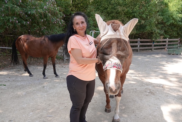 Nadja Wüthrich betreut auf dem Gnadenhof Animal´s Soul in Stein aktuell sieben Pferde. Foto: Peter Schütz
