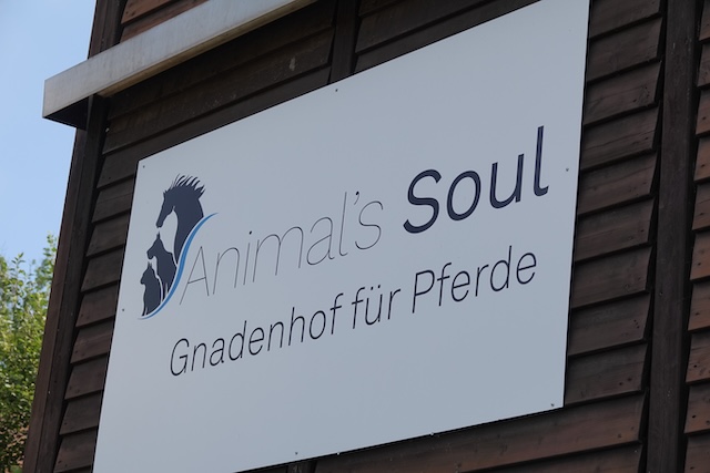 Schild an der Aussenwand vom Gnadenhof Animal´s Soul in Stein. Foto: Peter Schütz